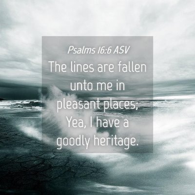 Picture 04 - Psalms 16:6 ASV - The lines are fallen unto me in pleasant places; - Bible Verse Picture