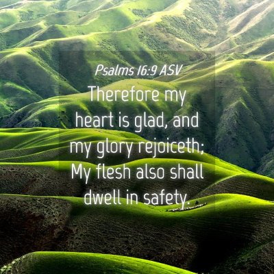 Picture 04 - Psalms 16:9 ASV - Therefore my heart is glad, and my glory - Bible Verse Picture