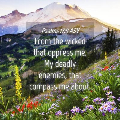 Picture 04 - Psalms 17:9 ASV - From the wicked that oppress me, My deadly - Bible Verse Picture