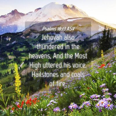Picture 04 - Psalms 18:13 ASV - Jehovah also thundered in the heavens, And the - Bible Verse Picture
