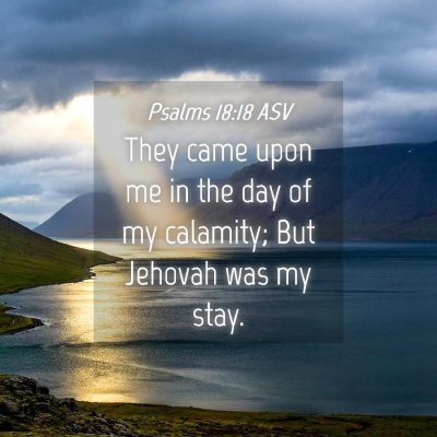 Picture 04 - Psalms 18:18 ASV - They came upon me in the day of my calamity; But - Bible Verse Picture