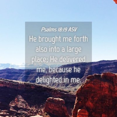 Picture 04 - Psalms 18:19 ASV - He brought me forth also into a large place; He - Bible Verse Picture