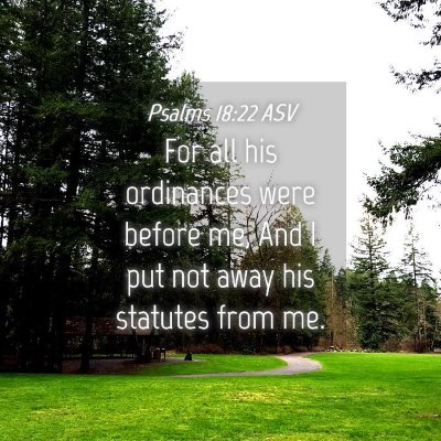 Picture 04 - Psalms 18:22 ASV - For all his ordinances were before me, And I put - Bible Verse Picture