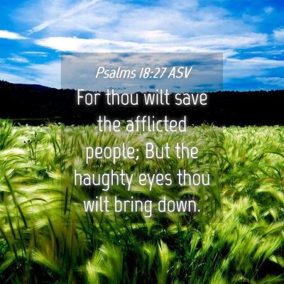 Picture 04 - Psalms 18:27 ASV - For thou wilt save the afflicted people; But the - Bible Verse Picture