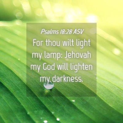 Picture 04 - Psalms 18:28 ASV - For thou wilt light my lamp: Jehovah my God will - Bible Verse Picture