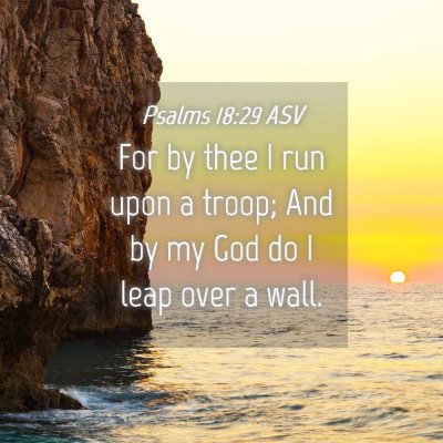 Picture 04 - Psalms 18:29 ASV - For by thee I run upon a troop; And by my God do - Bible Verse Picture