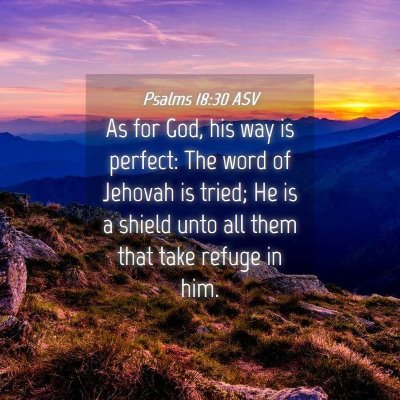 Picture 04 - Psalms 18:30 ASV - As for God, his way is perfect: The word of - Bible Verse Picture