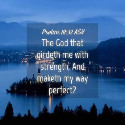 Picture 04 - Psalms 18:32 ASV - The God that girdeth me with strength, And maketh - Bible Verse Picture