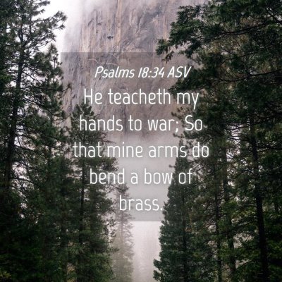 Picture 04 - Psalms 18:34 ASV - He teacheth my hands to war; So that mine arms do - Bible Verse Picture