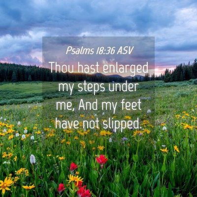 Picture 04 - Psalms 18:36 ASV - Thou hast enlarged my steps under me, And my feet - Bible Verse Picture