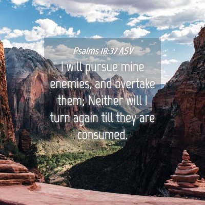 Picture 04 - Psalms 18:37 ASV - I will pursue mine enemies, and overtake them; - Bible Verse Picture