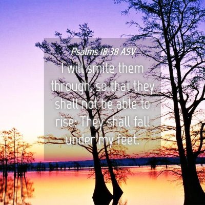 Picture 04 - Psalms 18:38 ASV - I will smite them through, so that they shall not - Bible Verse Picture
