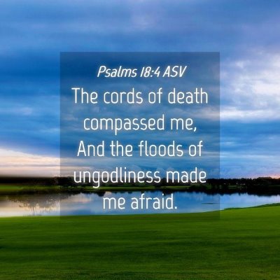 Picture 04 - Psalms 18:4 ASV - The cords of death compassed me, And the floods - Bible Verse Picture