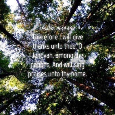 Picture 04 - Psalms 18:49 ASV - Therefore I will give thanks unto thee, O - Bible Verse Picture