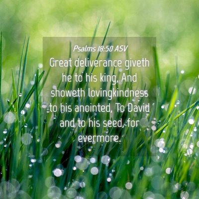 Picture 04 - Psalms 18:50 ASV - Great deliverance giveth he to his king, And - Bible Verse Picture