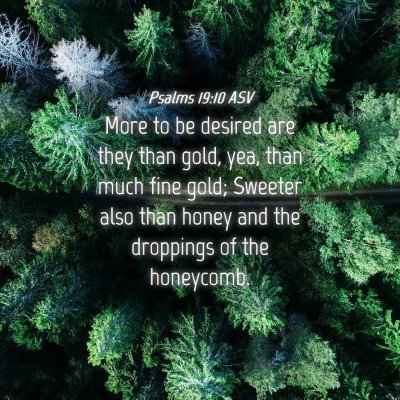 Picture 04 - Psalms 19:10 ASV - More to be desired are they than gold, yea, than - Bible Verse Picture