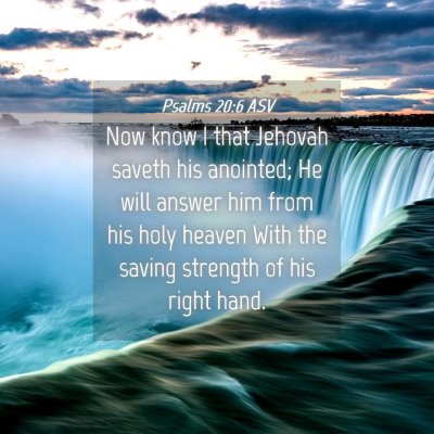 Picture 04 - Psalms 20:6 ASV - Now know I that Jehovah saveth his anointed; He - Bible Verse Picture