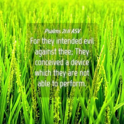 Picture 04 - Psalms 21:11 ASV - For they intended evil against thee; They - Bible Verse Picture