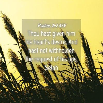 Picture 04 - Psalms 21:2 ASV - Thou hast given him his heart's desire, And hast - Bible Verse Picture