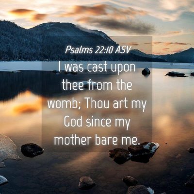 Picture 04 - Psalms 22:10 ASV - I was cast upon thee from the womb; Thou art my - Bible Verse Picture
