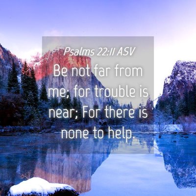 Picture 04 - Psalms 22:11 ASV - Be not far from me; for trouble is near; For - Bible Verse Picture