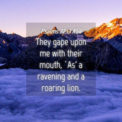 Picture 04 - Psalms 22:13 ASV - They gape upon me with their mouth, `As' a - Bible Verse Picture