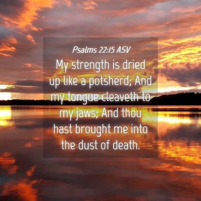Picture 04 - Psalms 22:15 ASV - My strength is dried up like a potsherd; And my - Bible Verse Picture