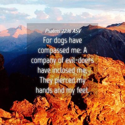 Picture 04 - Psalms 22:16 ASV - For dogs have compassed me: A company of - Bible Verse Picture