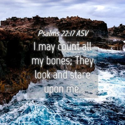 Picture 04 - Psalms 22:17 ASV - I may count all my bones; They look and stare - Bible Verse Picture