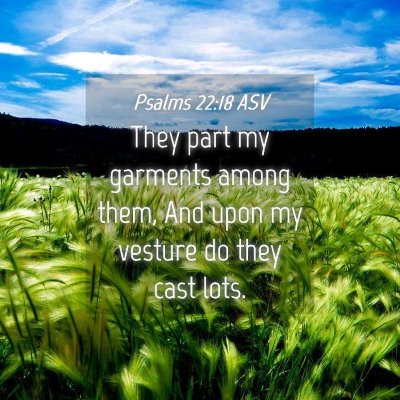 Picture 04 - Psalms 22:18 ASV - They part my garments among them, And upon my - Bible Verse Picture