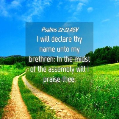 Picture 04 - Psalms 22:22 ASV - I will declare thy name unto my brethren: In the - Bible Verse Picture