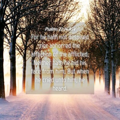 Picture 04 - Psalms 22:24 ASV - For he hath not despised nor abhorred the - Bible Verse Picture