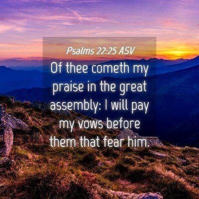 Picture 04 - Psalms 22:25 ASV - Of thee cometh my praise in the great assembly: I - Bible Verse Picture