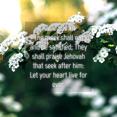 Picture 04 - Psalms 22:26 ASV - The meek shall eat and be satisfied; They shall - Bible Verse Picture