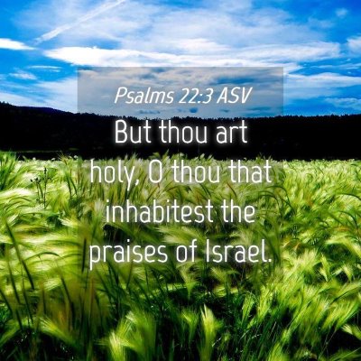 Picture 04 - Psalms 22:3 ASV - But thou art holy, O thou that inhabitest the - Bible Verse Picture