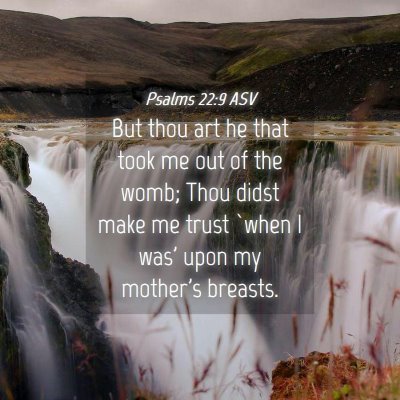 Picture 04 - Psalms 22:9 ASV - But thou art he that took me out of the womb; - Bible Verse Picture