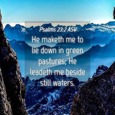 Picture 04 - Psalms 23:2 ASV - He maketh me to lie down in green pastures; He - Bible Verse Picture