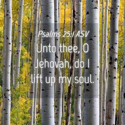 Picture 04 - Psalms 25:1 ASV - Unto thee, O Jehovah, do I lift up my - Bible Verse Picture