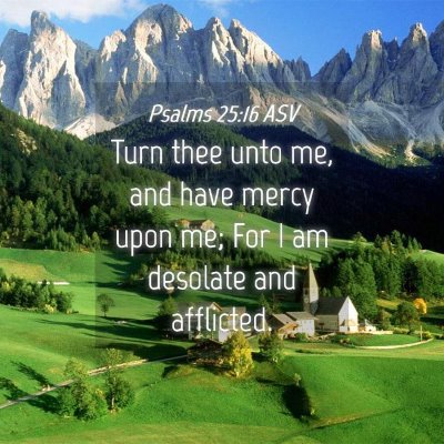 Picture 04 - Psalms 25:16 ASV - Turn thee unto me, and have mercy upon me; For I - Bible Verse Picture