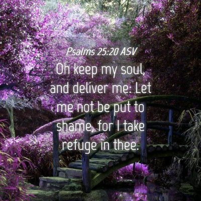 Picture 04 - Psalms 25:20 ASV - Oh keep my soul, and deliver me: Let me not be - Bible Verse Picture