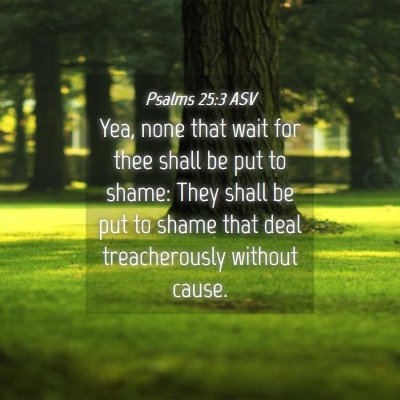 Picture 04 - Psalms 25:3 ASV - Yea, none that wait for thee shall be put to - Bible Verse Picture