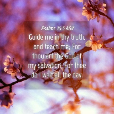Picture 04 - Psalms 25:5 ASV - Guide me in thy truth, and teach me; For thou art - Bible Verse Picture