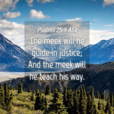 Picture 04 - Psalms 25:9 ASV - The meek will he guide in justice; And the meek - Bible Verse Picture