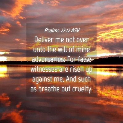 Picture 04 - Psalms 27:12 ASV - Deliver me not over unto the will of mine - Bible Verse Picture