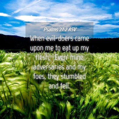 Picture 04 - Psalms 27:2 ASV - When evil-doers came upon me to eat up my flesh, - Bible Verse Picture