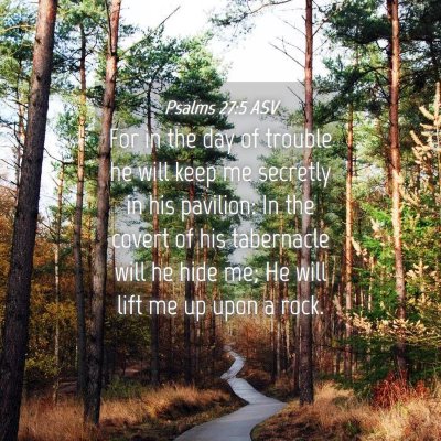 Picture 04 - Psalms 27:5 ASV - For in the day of trouble he will keep me - Bible Verse Picture