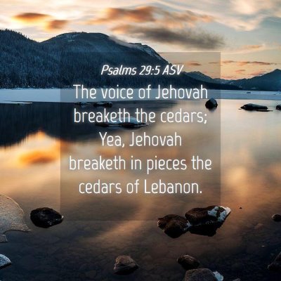 Picture 04 - Psalms 29:5 ASV - The voice of Jehovah breaketh the cedars; Yea, - Bible Verse Picture
