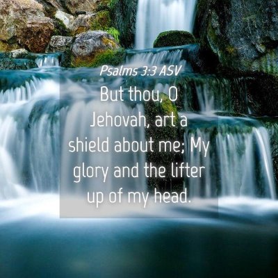 Picture 04 - Psalms 3:3 ASV - But thou, O Jehovah, art a shield about me; My - Bible Verse Picture