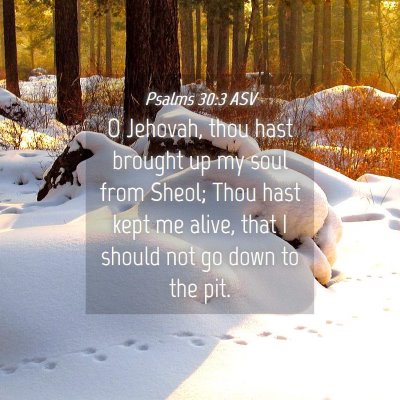 Picture 04 - Psalms 30:3 ASV - O Jehovah, thou hast brought up my soul from - Bible Verse Picture