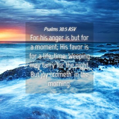 Picture 04 - Psalms 30:5 ASV - For his anger is but for a moment; His favor is - Bible Verse Picture